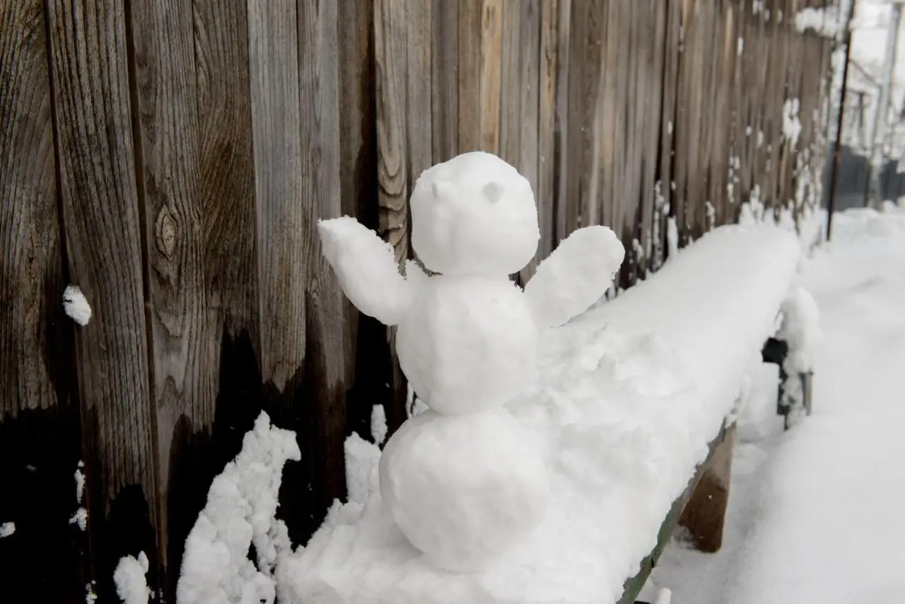Surami Guest House - სახლი სურამში