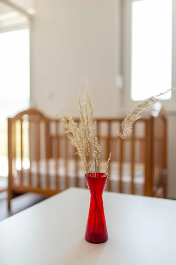 Apartmani Mia