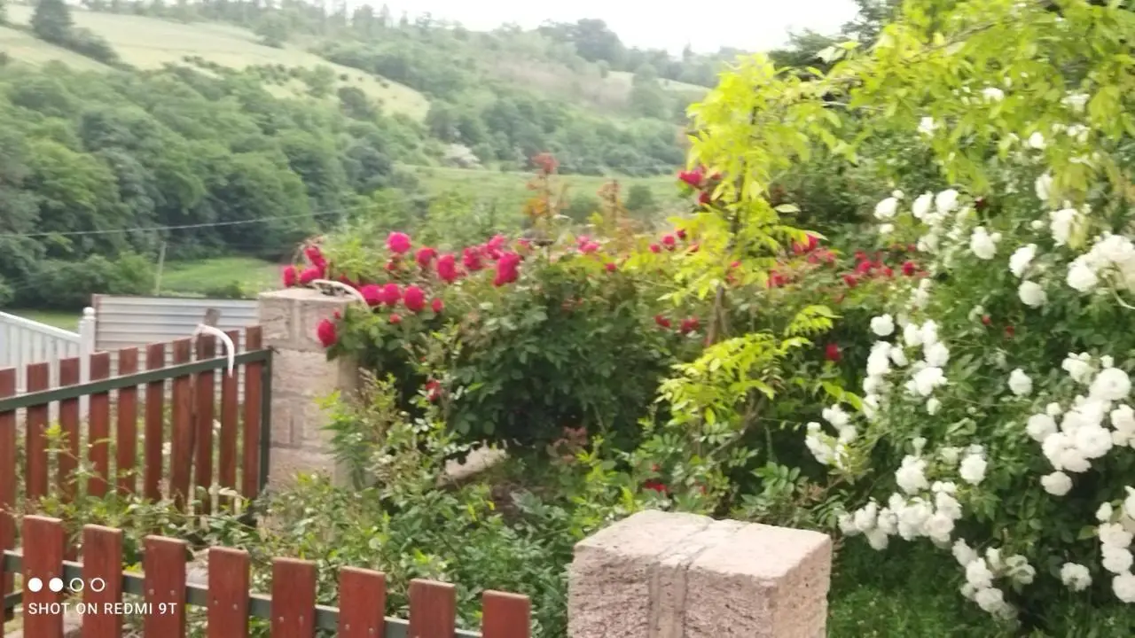 Quba Guest House