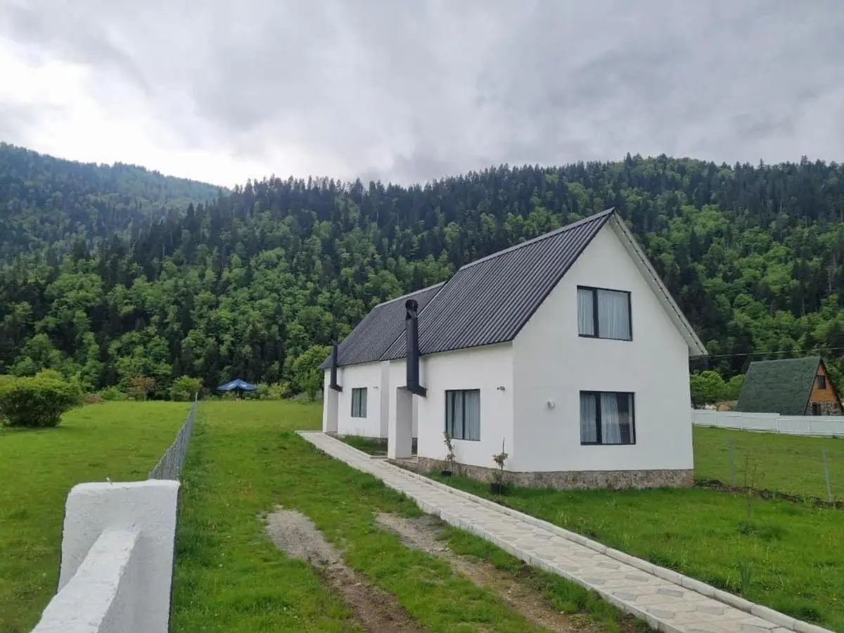 White House near Borjomi Sadgeri