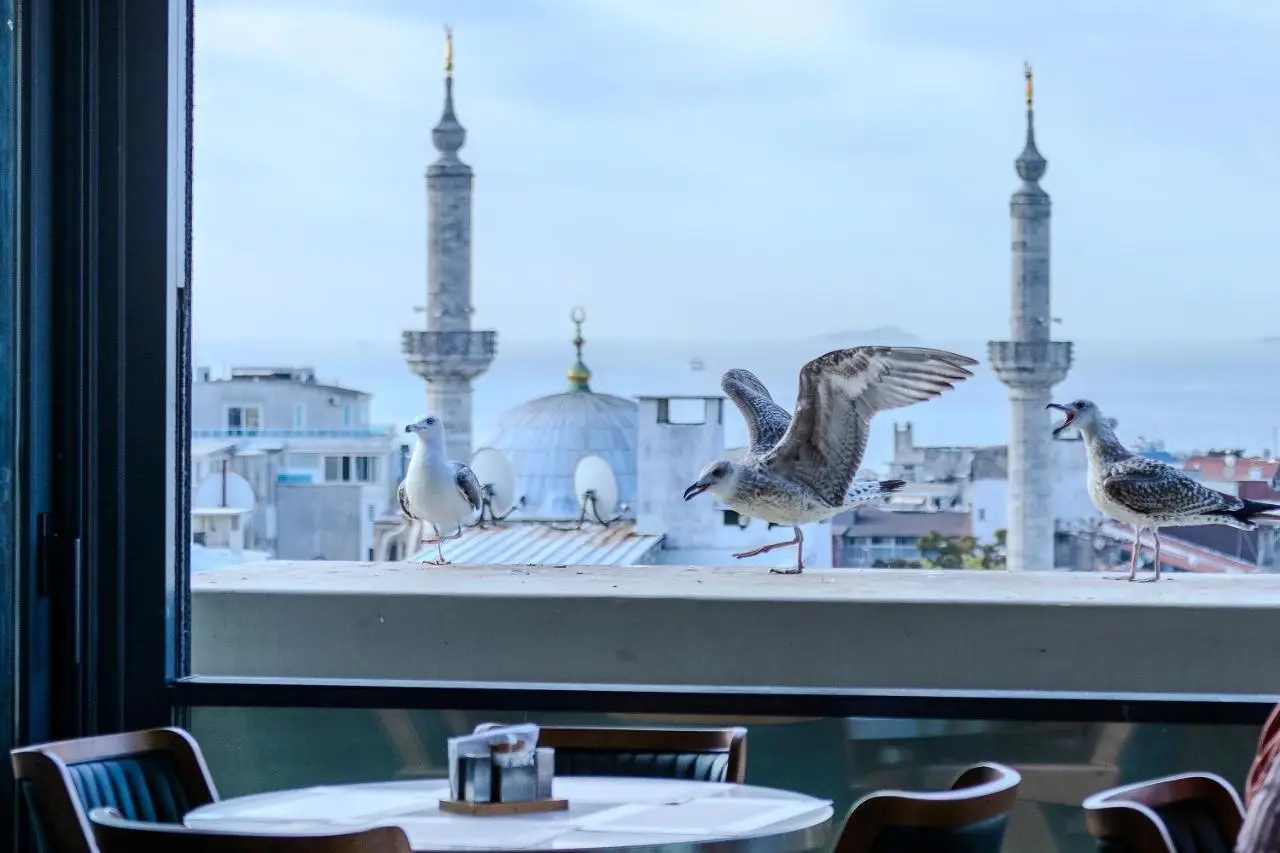 Lions Royal Hotel