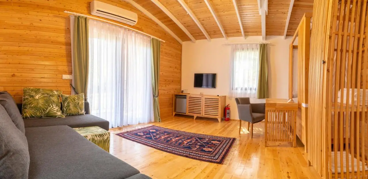 APA Mountain Lodge