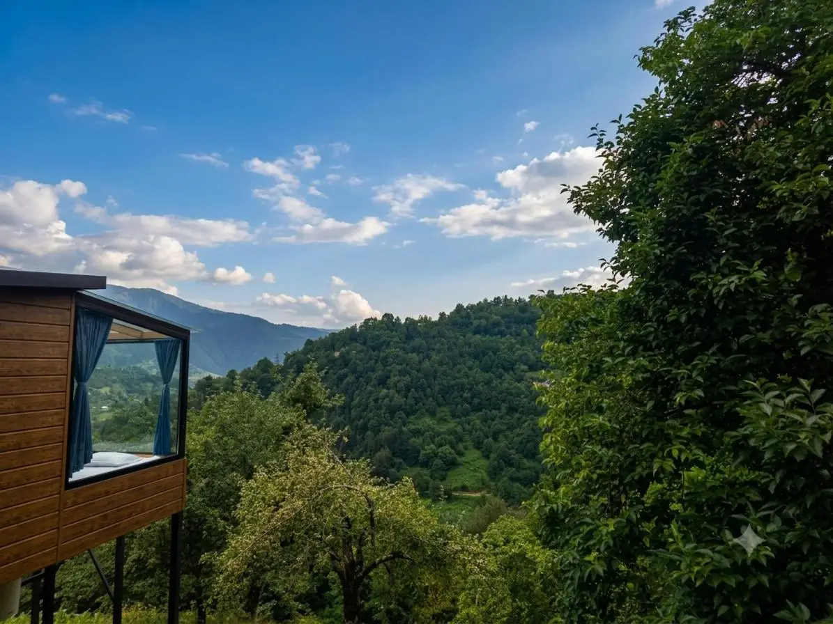 Hill House Merisi