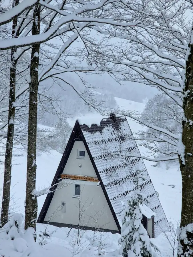 Weekend house NEST Bjelašnica