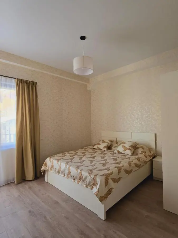 Bakuriani apartment 101 Tsakadze 20