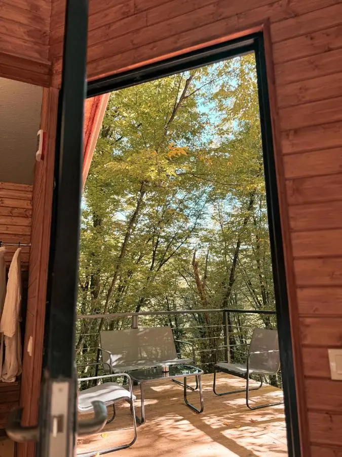 Eco Village In The Forest