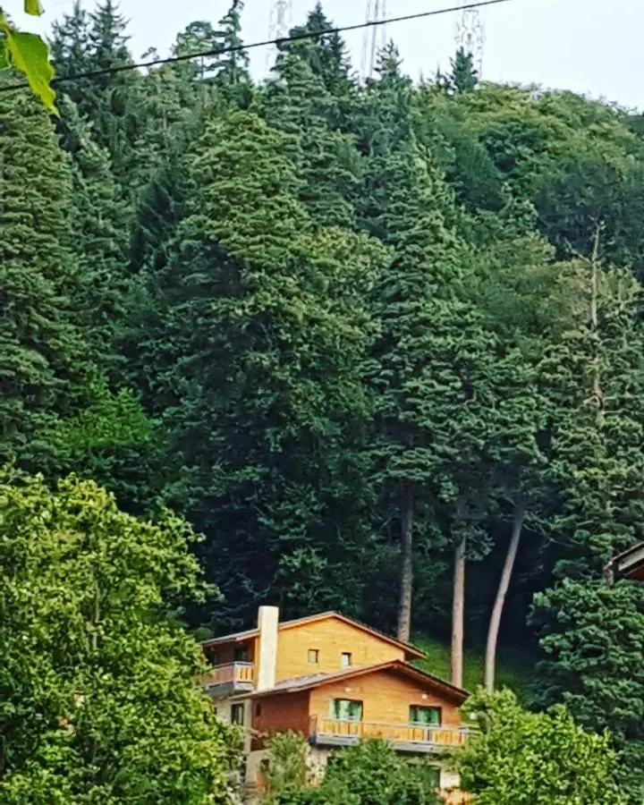 Villa Barleon Bakuriani