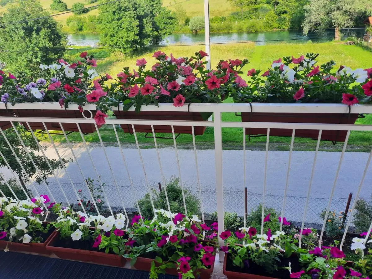 Guest House Šobić