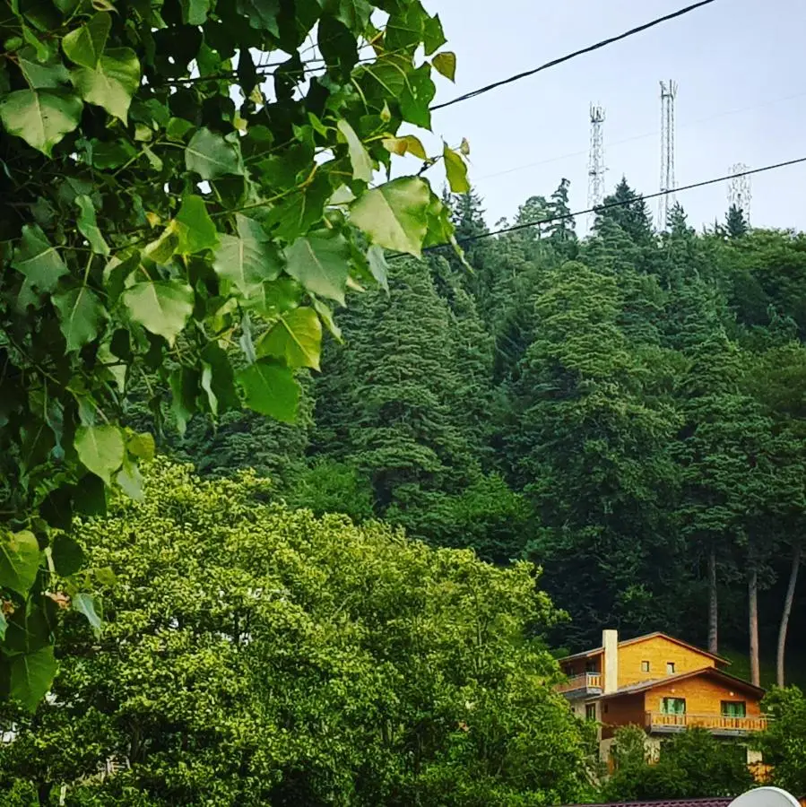 Villa Barleon Bakuriani