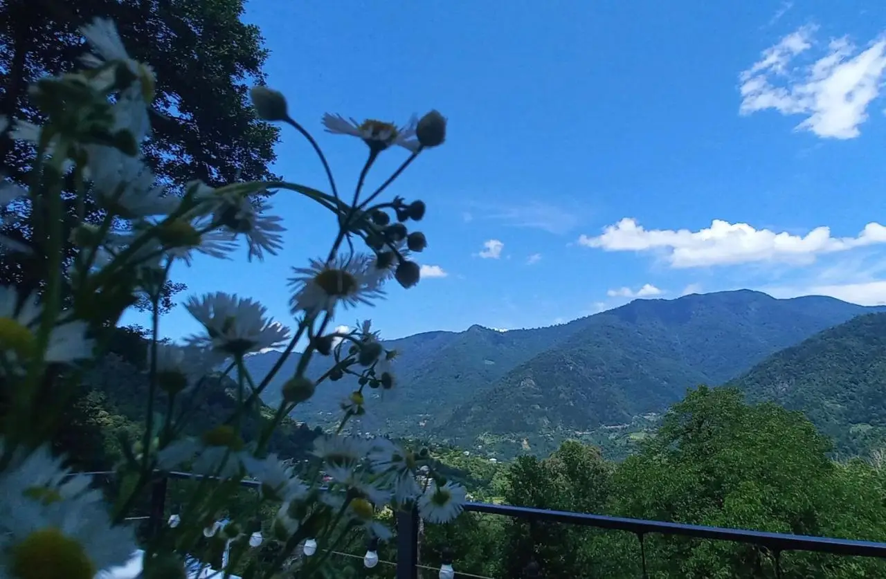 House in the clouds&სახლი ღრუბლებში