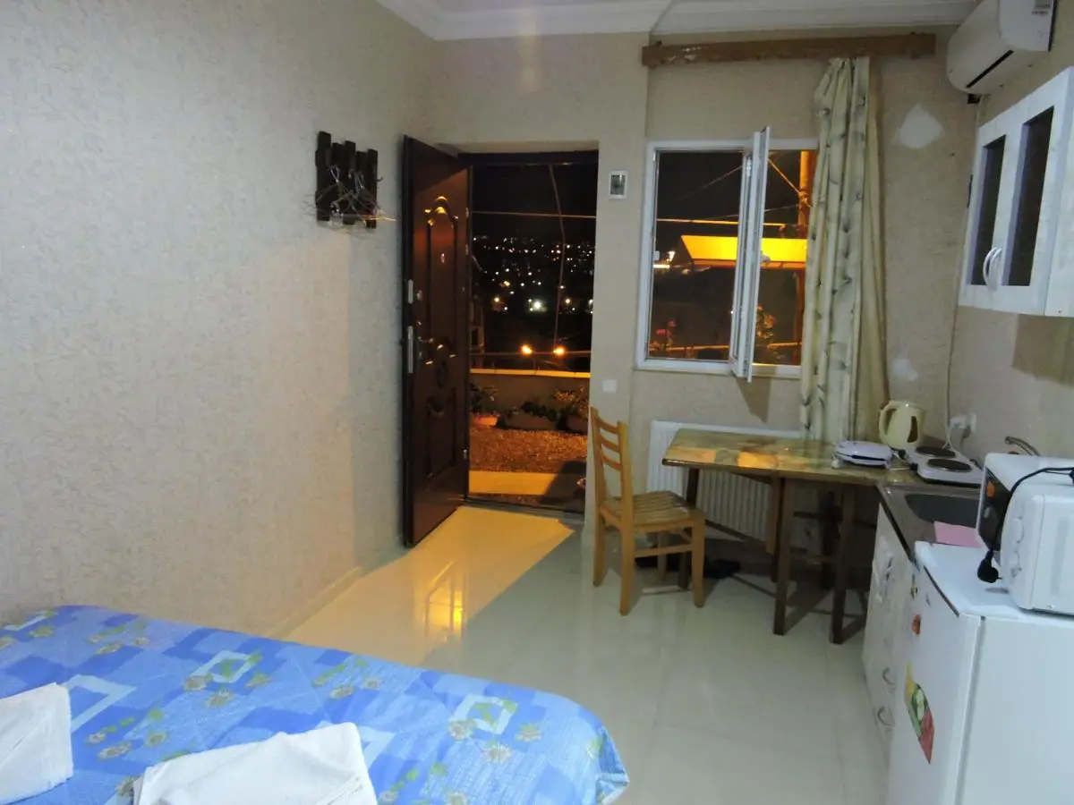 Apartment Panorama