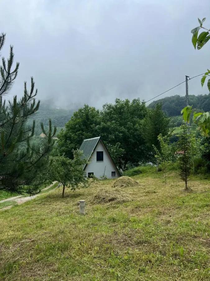 Ali's House