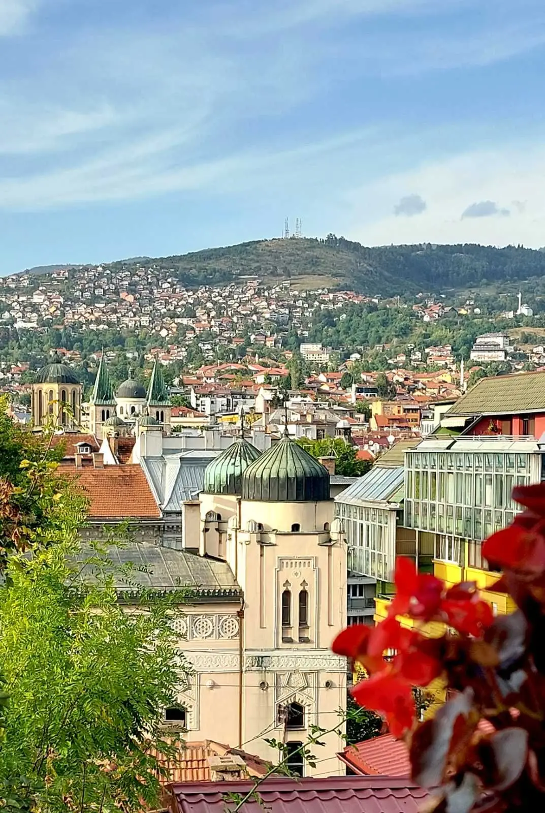 Mayor's view