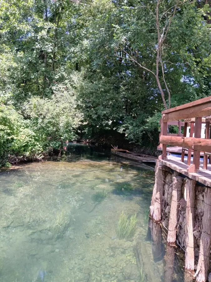 Pure Nature
