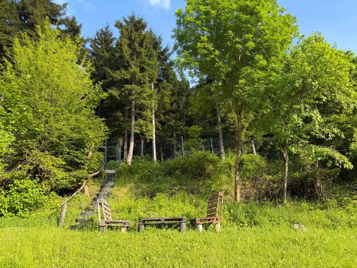 Woodland Borjomi
