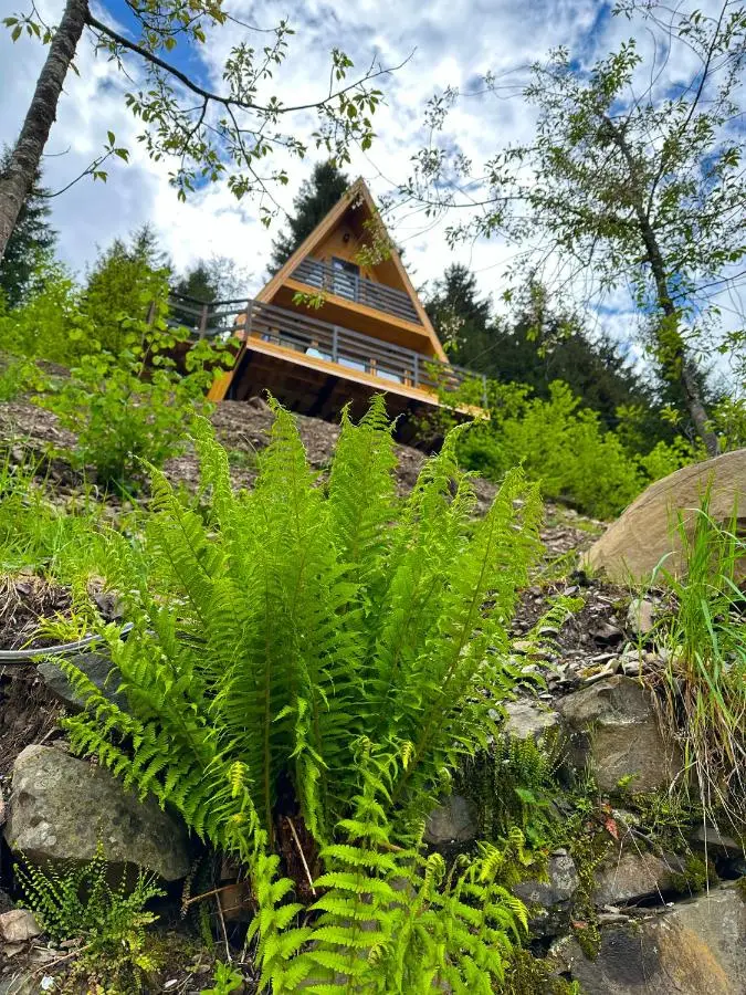 ლენტეხის მთის სასტუმრო - Lentekhi Mountain Inn