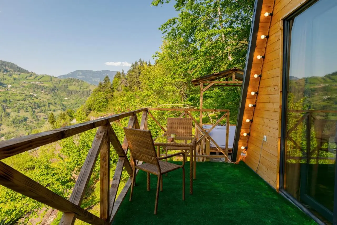 Forest House