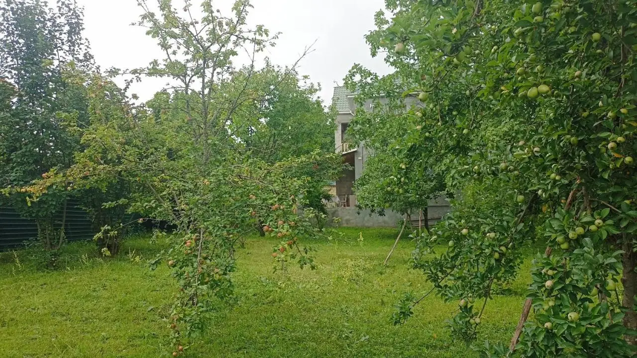 Gabala Dreams Villa with Large Garden