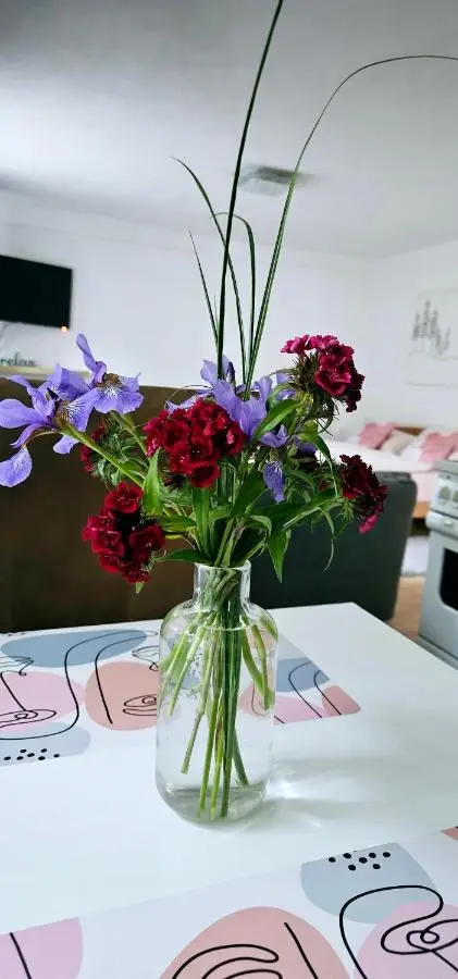 Apartman Stari Grad - Ostrožac na Uni - Bihać Cazin