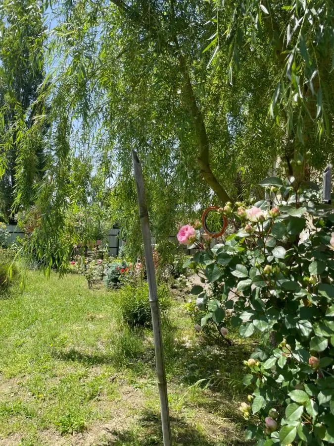 House - Kutaisi International Airport 15 Minutes- Quiet cozy house with parking