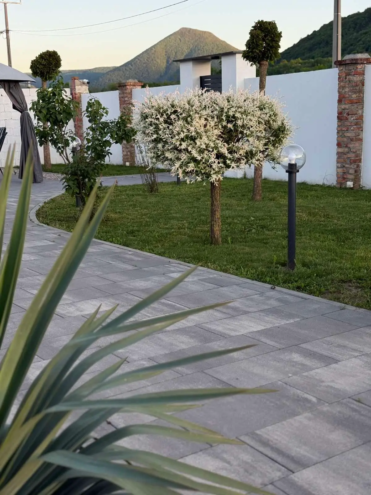Hadzal's courtyard