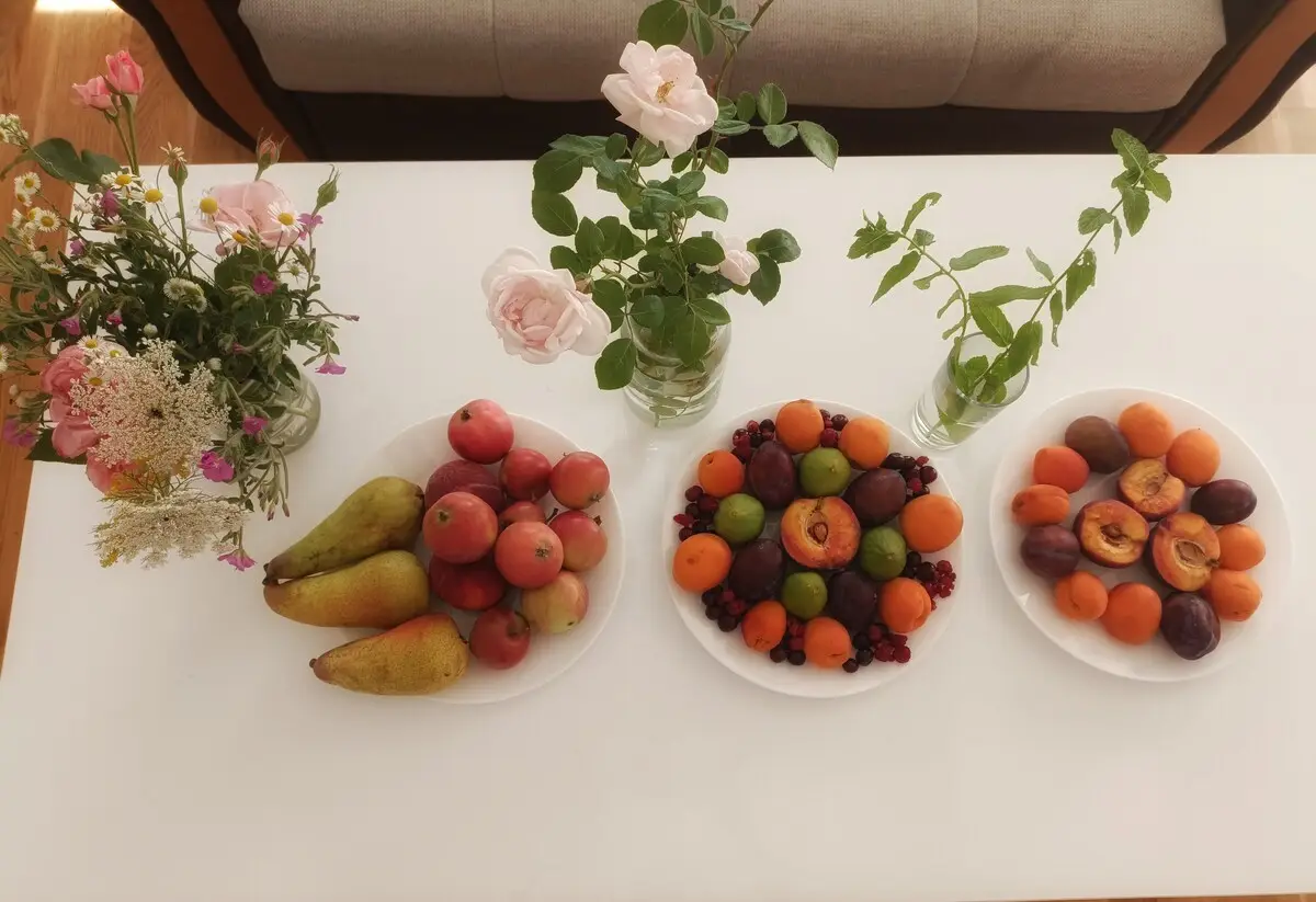 Villa Bloom - Villa in nature with a large orchard