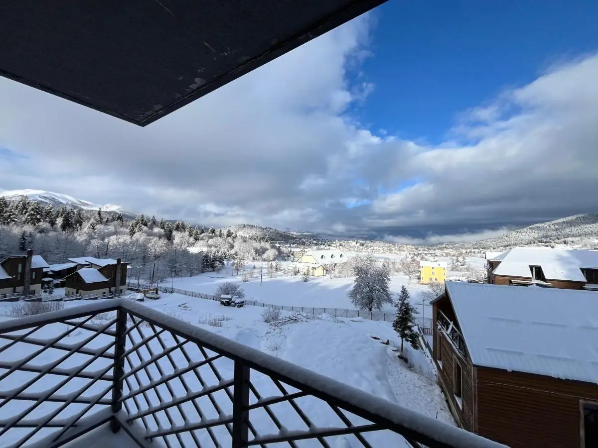 Bakuriani Hotel Apartments 301