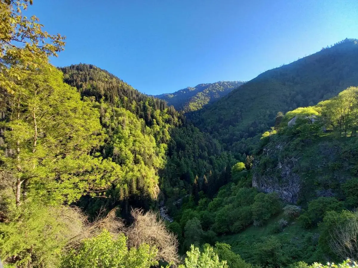 Hotel Villa Borjomi