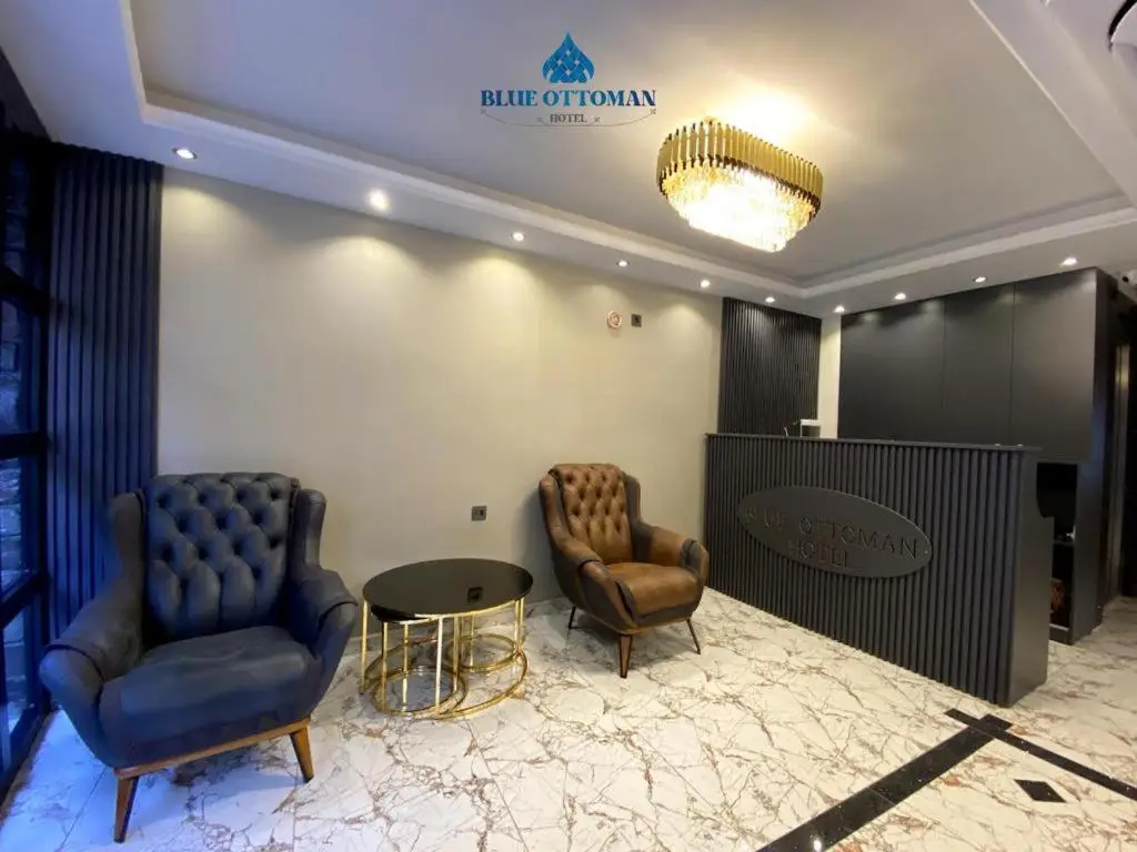 Hotel Blue Ottoman