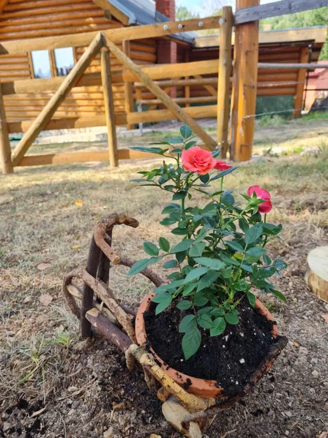 Planinska kuca Ella