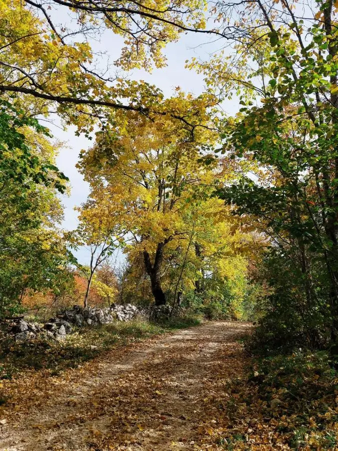 Planinska kuća za odmor Perić