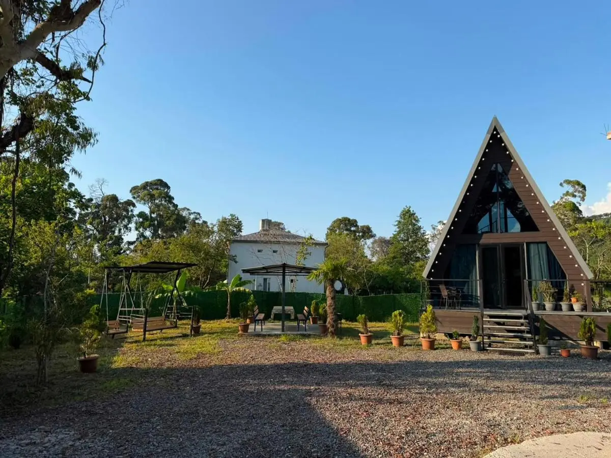 Cottage Lemons In Gonio