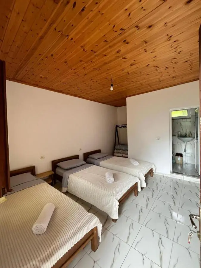 Guesthouse Driti