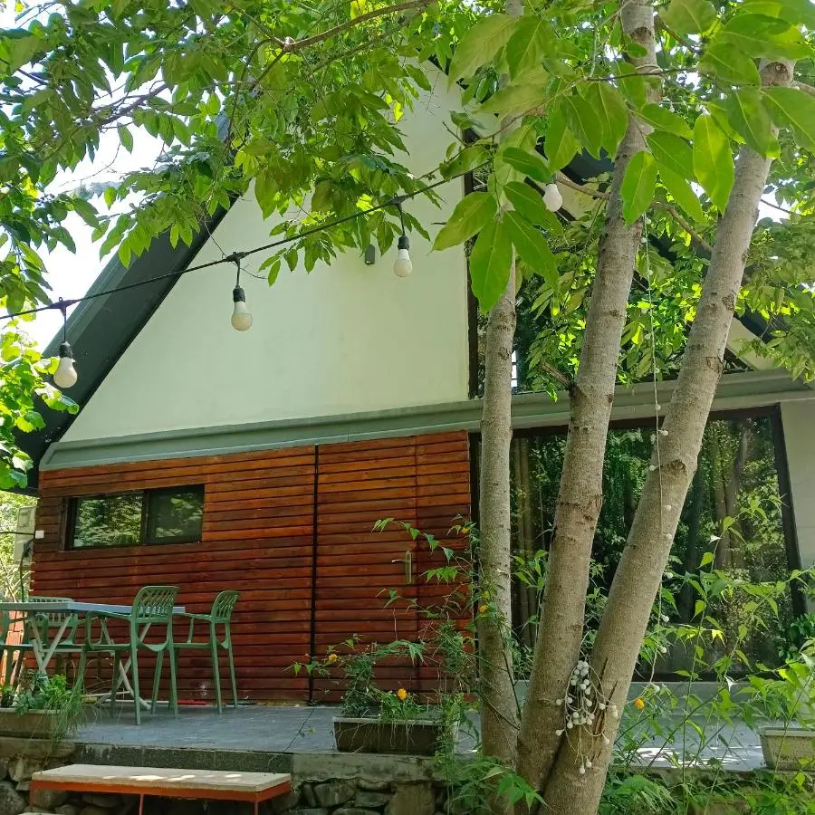 Woodland Paradise