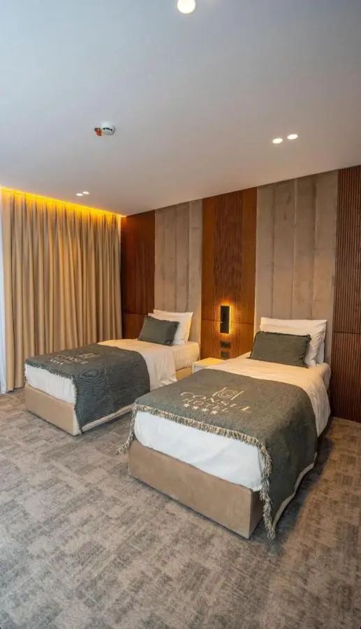 Hotel Consul