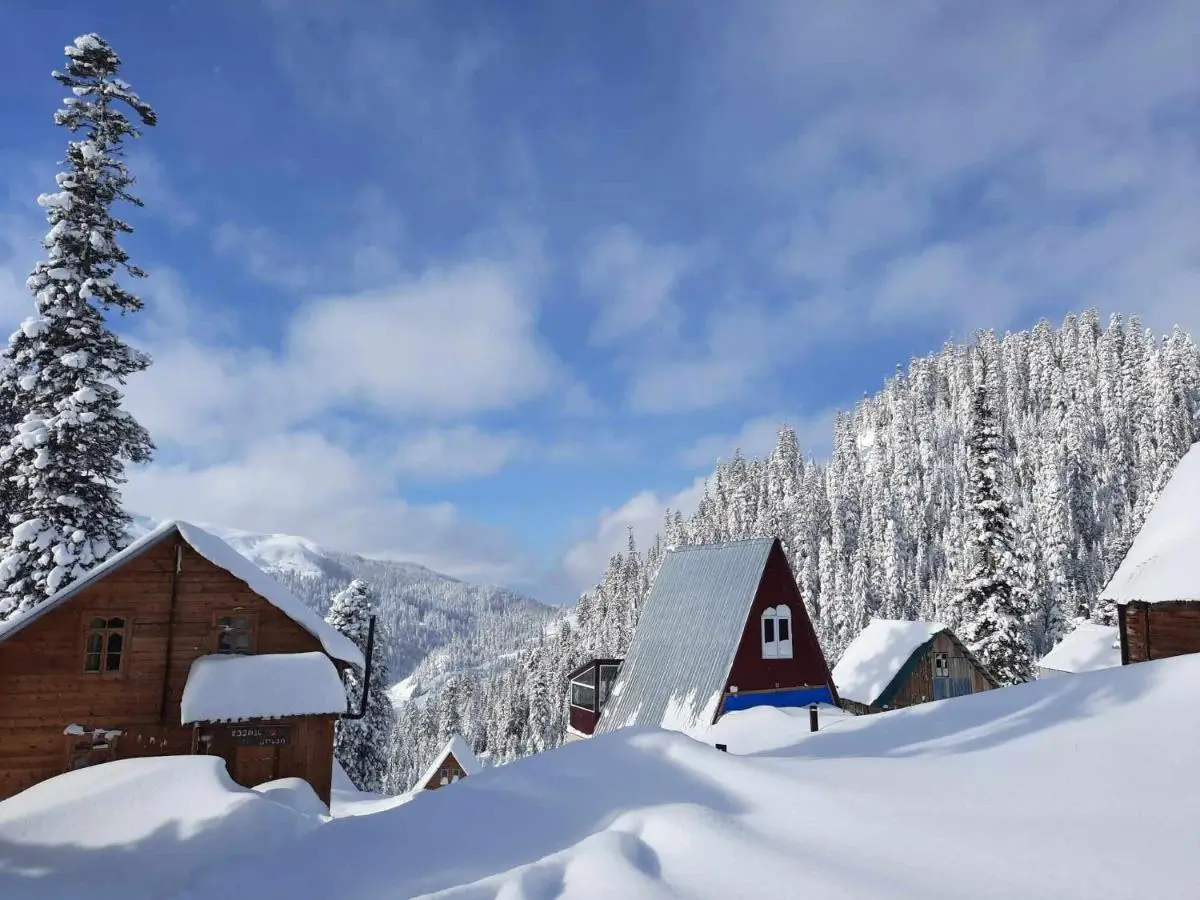 Chalet Bakhmaro