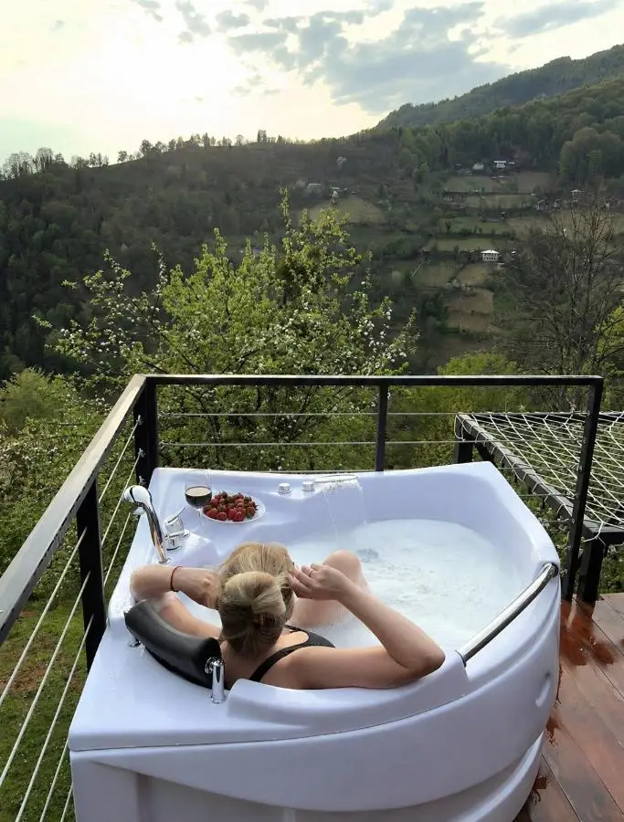 Hill House Merisi