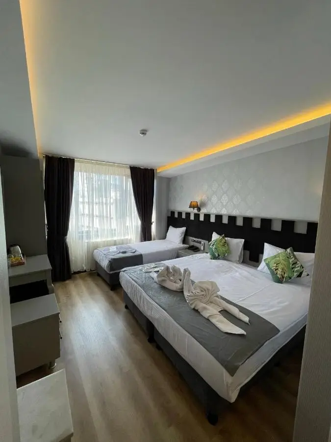 Old City Viva Hotel