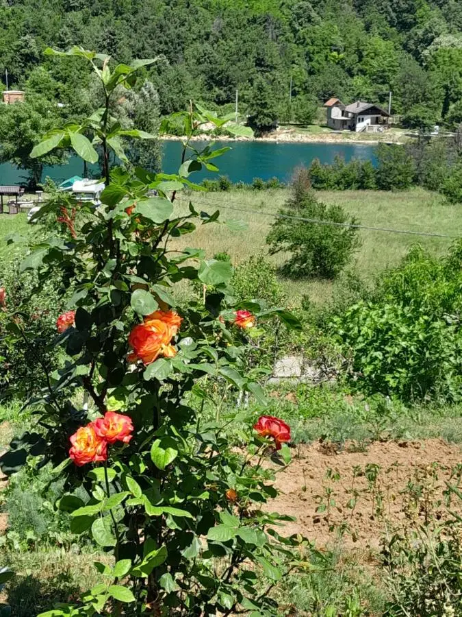 Kuća za odmor Panorama Lohovo Bihać