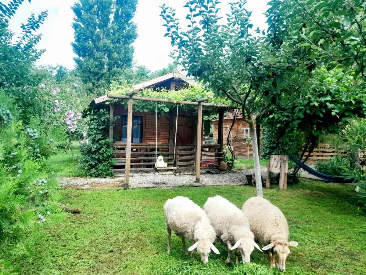 Tiny houses Genacvale