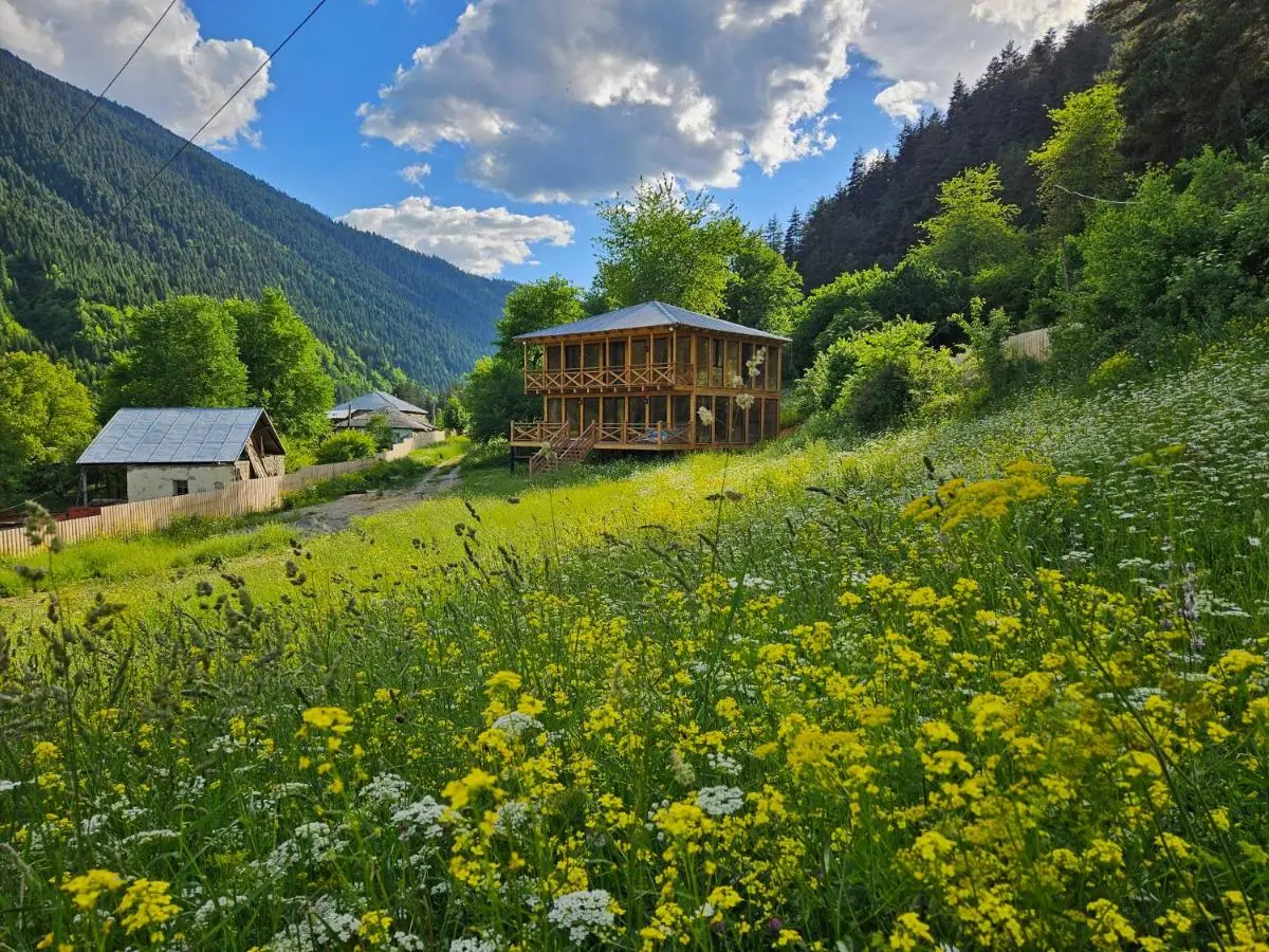 Cozy Cottages