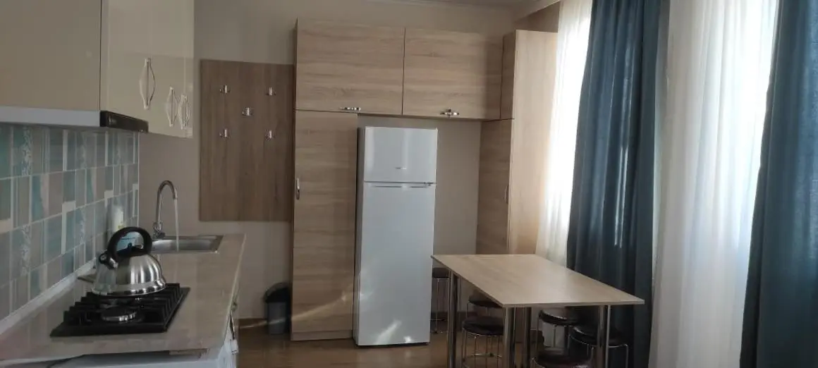 Nias's Apartment in Bakuriani