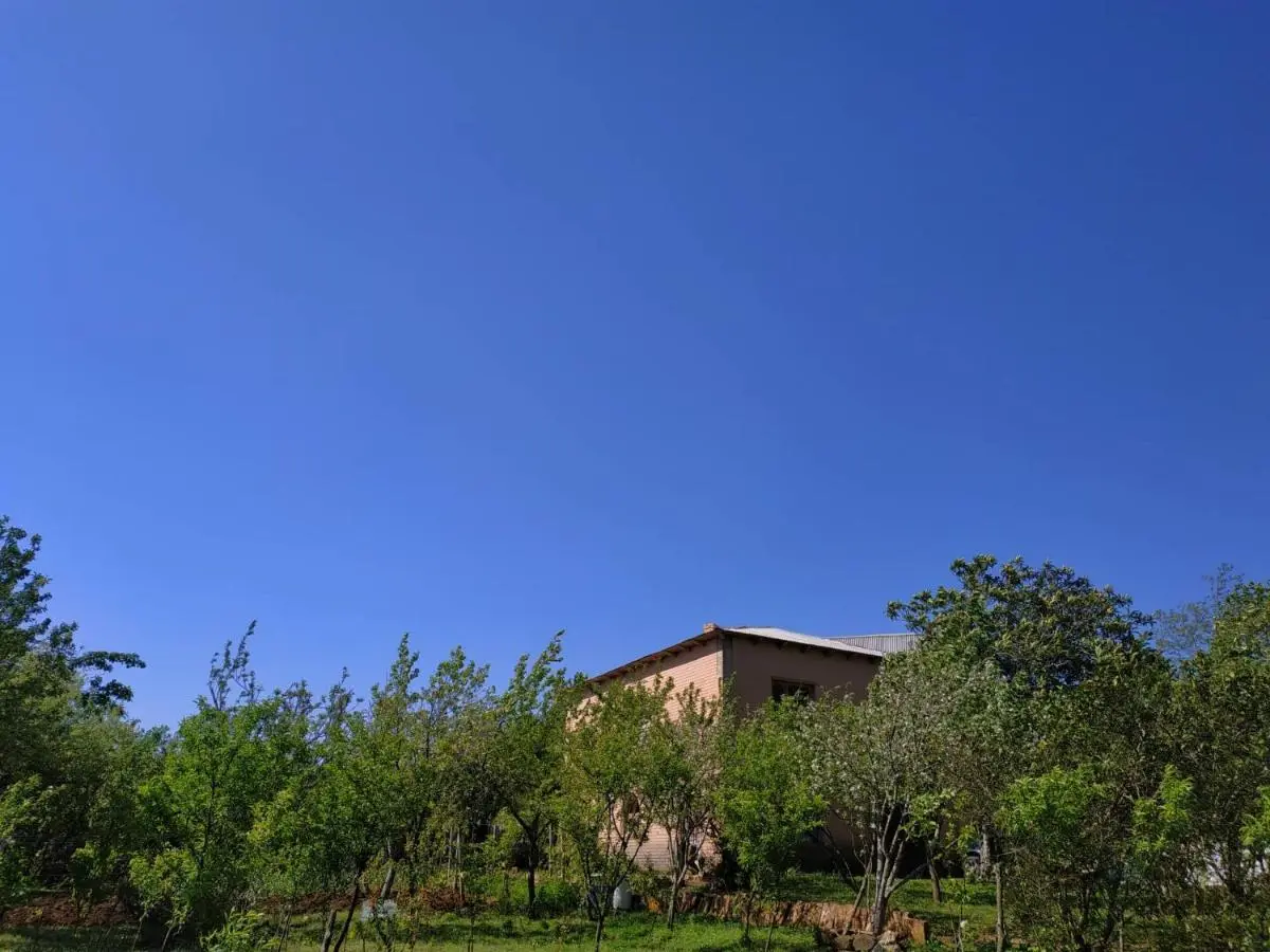Сибиряк Sibiryak