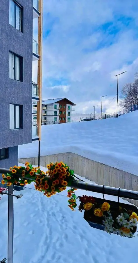 Crystal Wood Apartment 213
