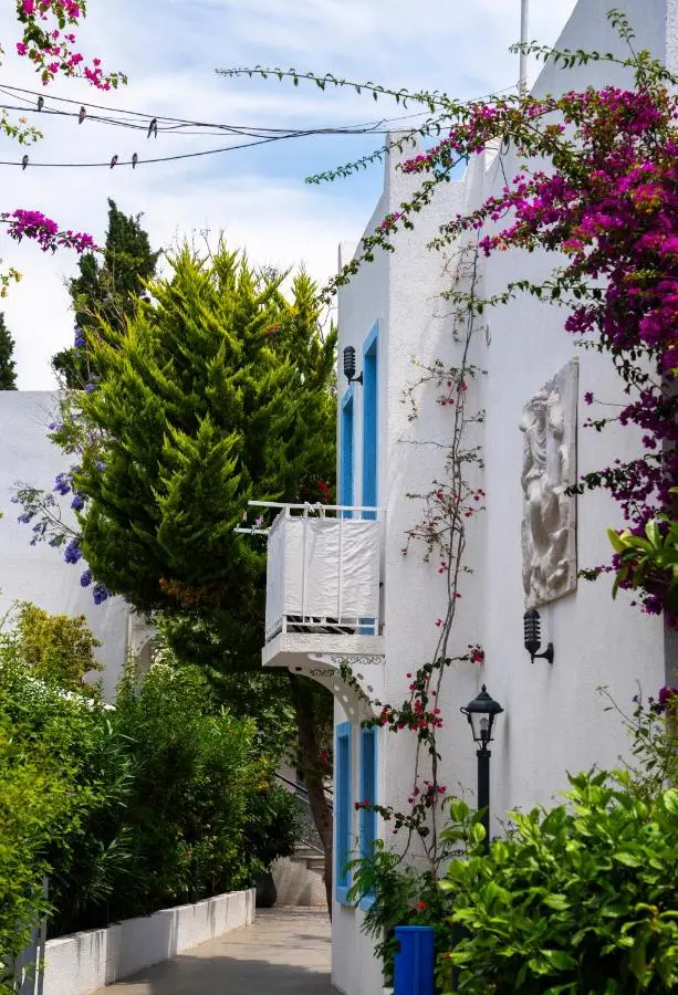 Manuela Boutique Hotel Bitez