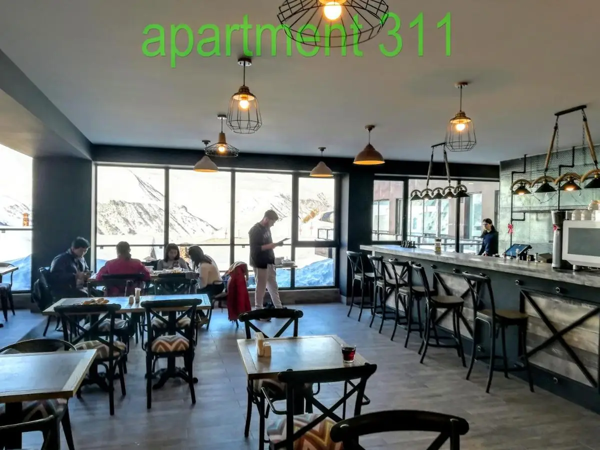 Apartment N503 Gudauri Loft