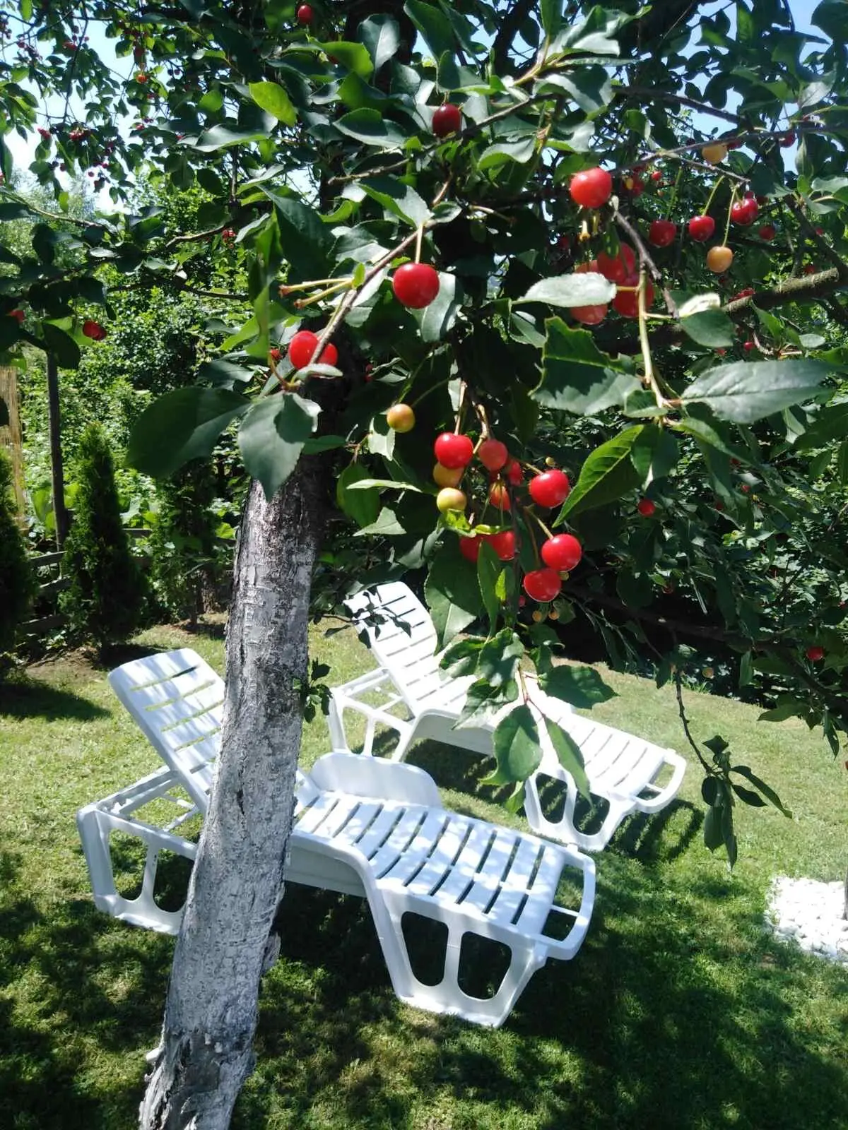 House with a swimming pool