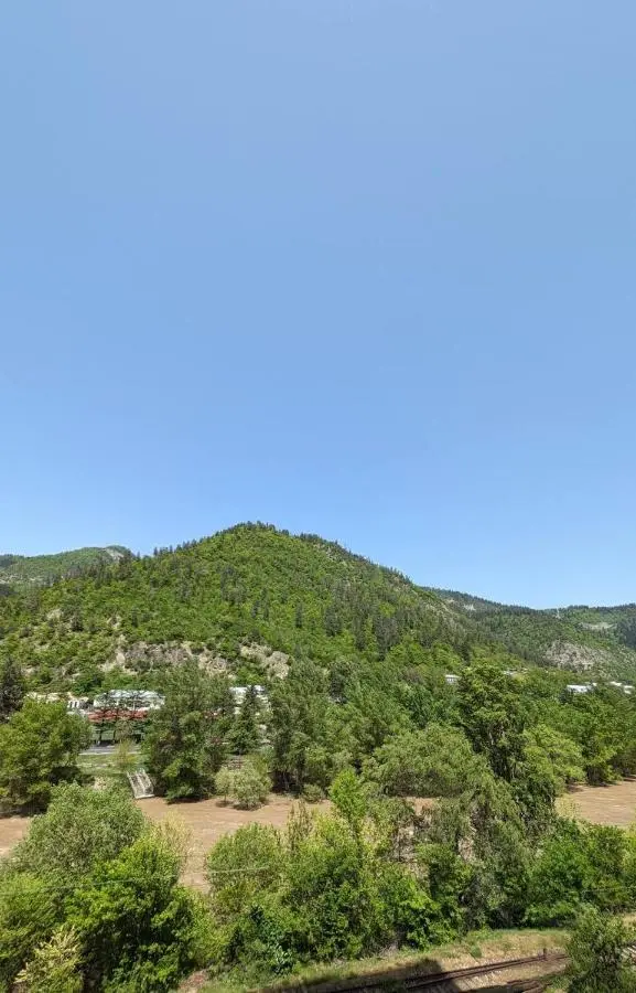 Gari's apartment next to Borjomi Central Park