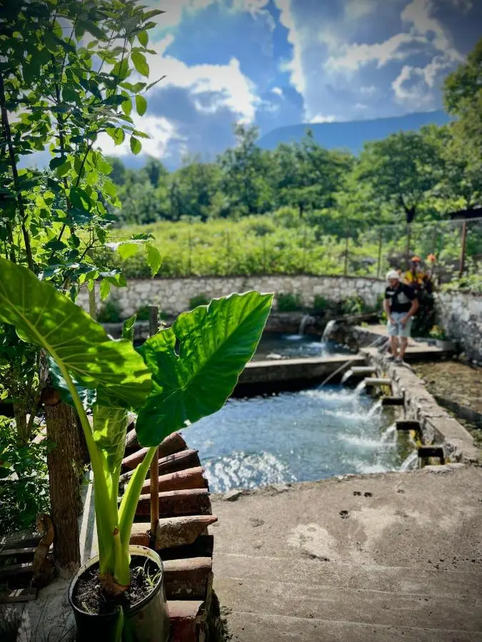 Cottage ,,Okatsia” ოკაციას კოტეჯები