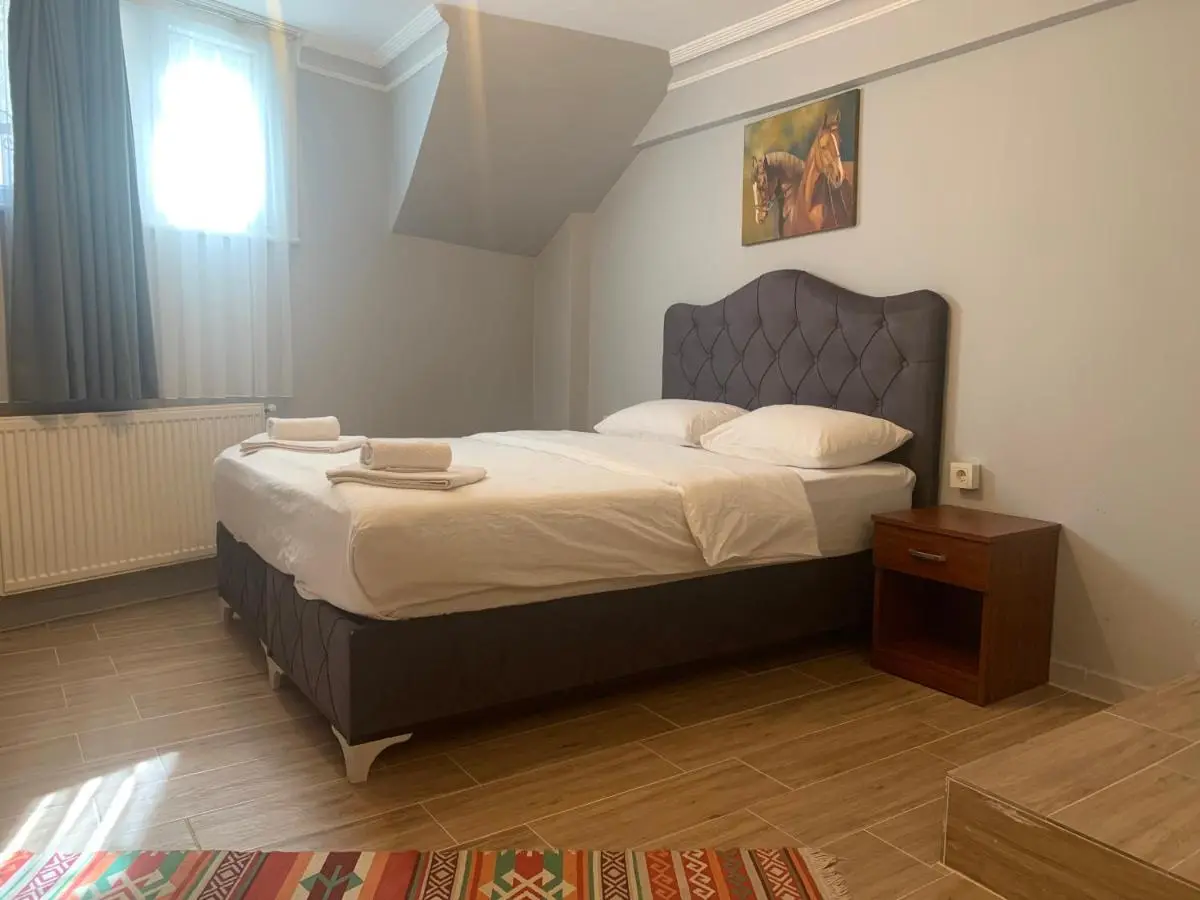 Pine Stone Apart Hotel Sultanahmet